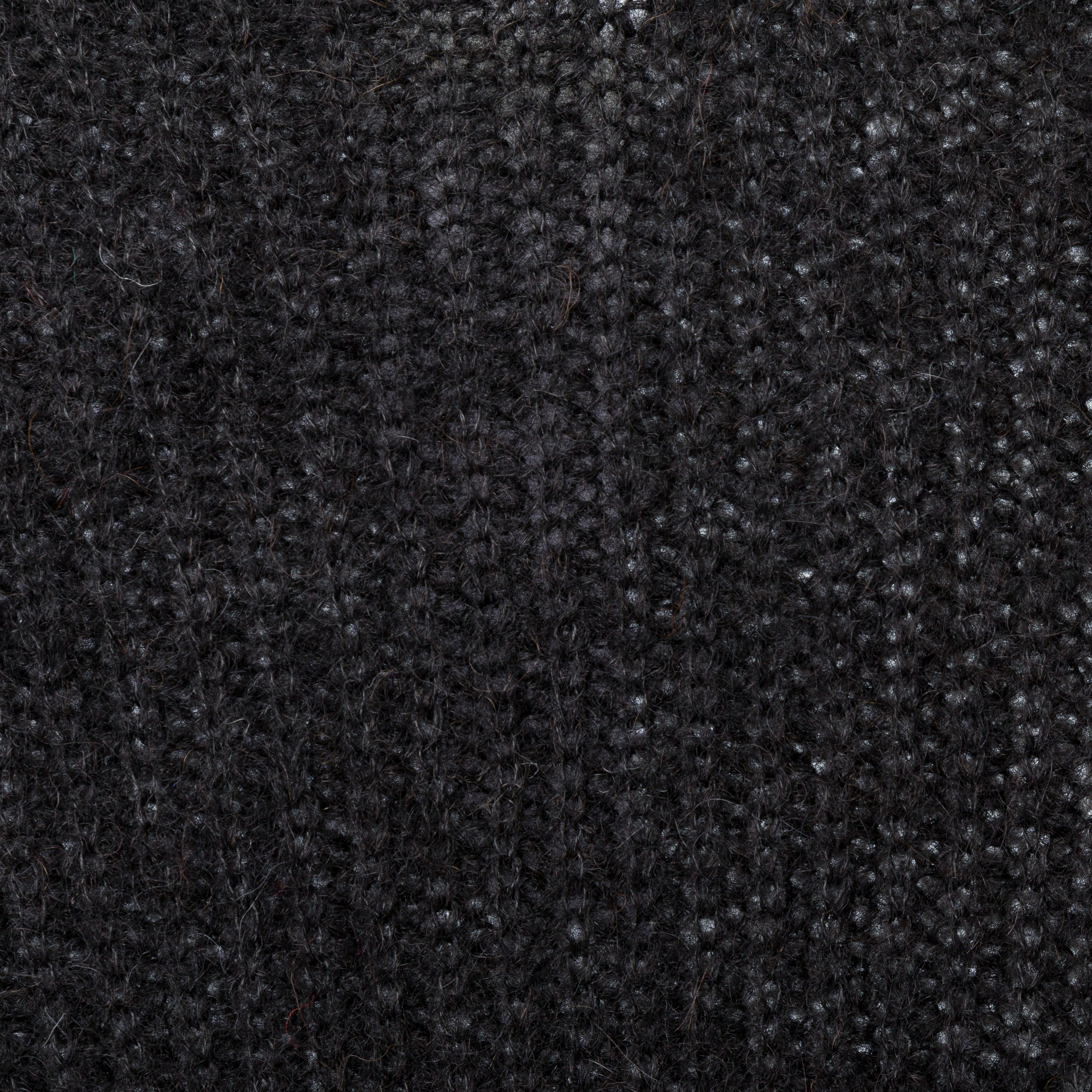 Alpaca Black | DIEGO ZORODDU